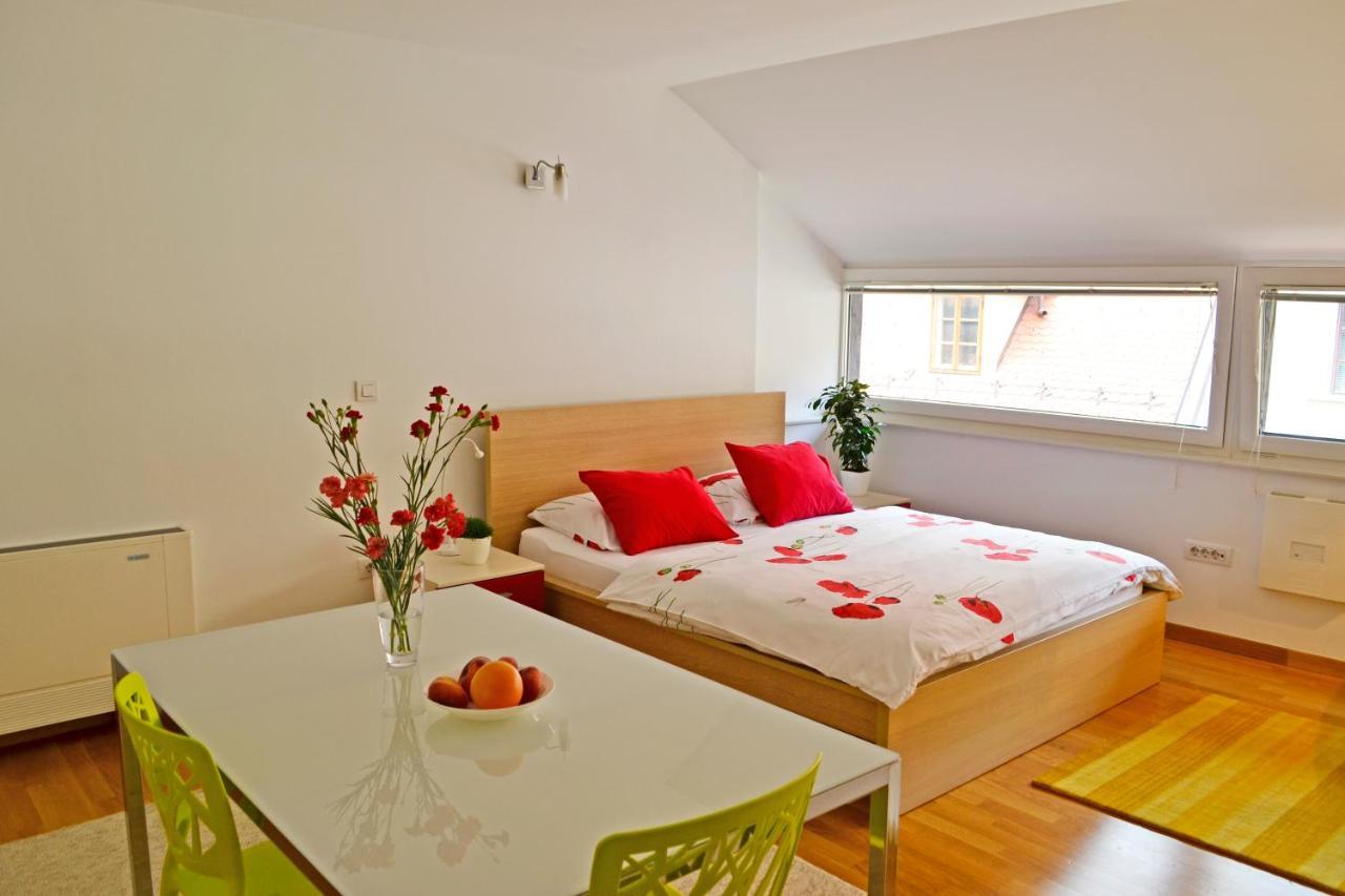 Studio In Ljubljana Center المظهر الخارجي الصورة