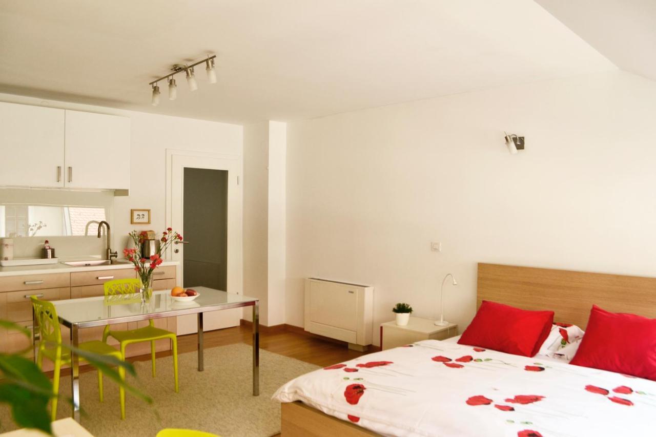 Studio In Ljubljana Center المظهر الخارجي الصورة